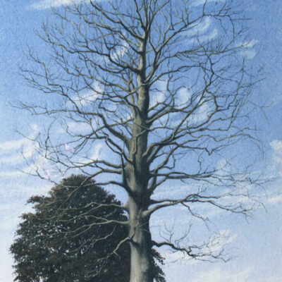 Q17-aquarel Q17-aquarel